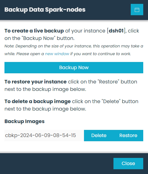 Backup Manager Dialog