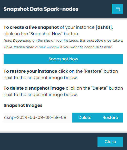 Snaphot Manager Dialog