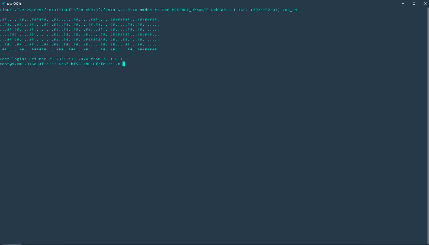 Instances-vm Terminal Window