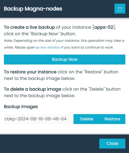 Backup Manager Dialog