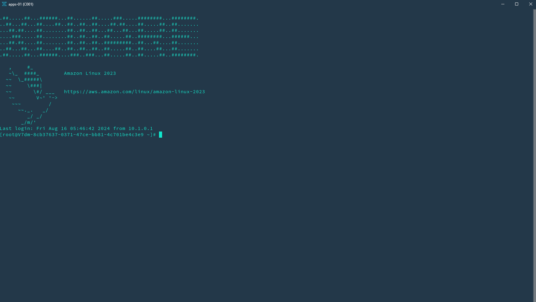 Magna-nodes Terminal Window